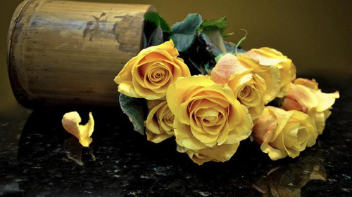 beautiful flowers52.jpg