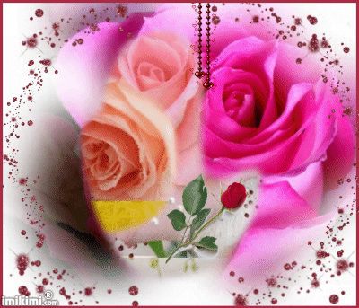 beautiful flowers11.gif