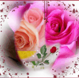 beautiful flowers11