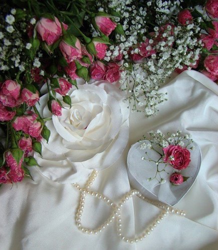 beautiful flowers37.jpg