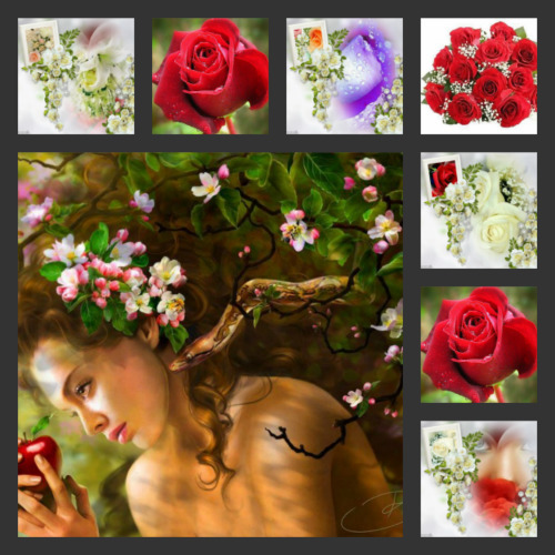 beautiful flowers11.jpg