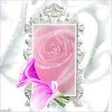 beautiful flowers26
