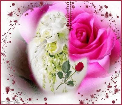 beautiful flowers12.gif