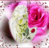 beautiful flowers12