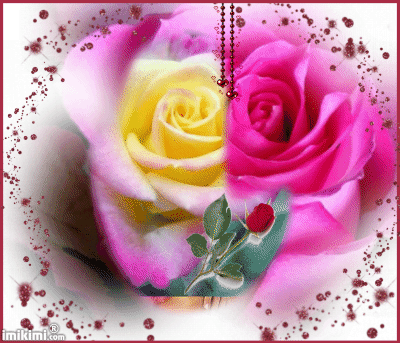 beautiful flowers14.gif