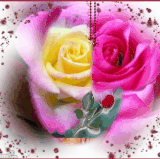 beautiful flowers14