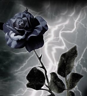 beautiful flowers41.jpg