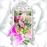 beautiful flowers24