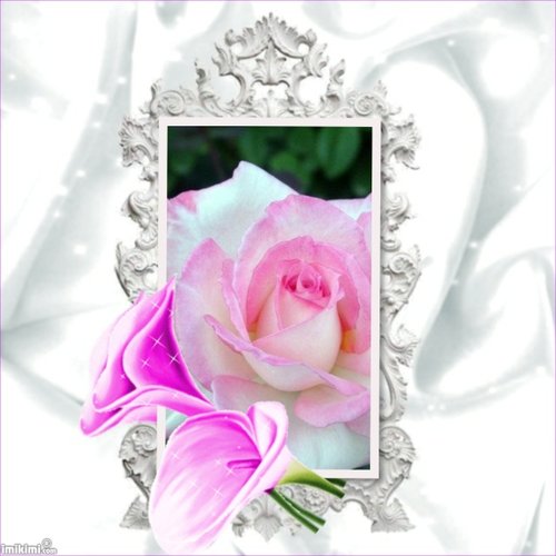 beautiful flowers25.jpg