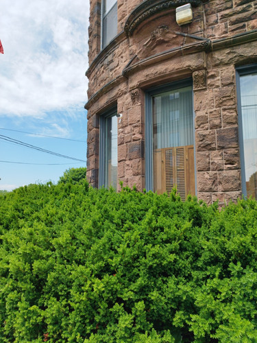 IMG 20240707 134150.jpg