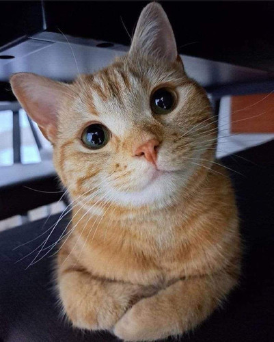 449702855 122138219708253518 8722660214705139780 n.jpg