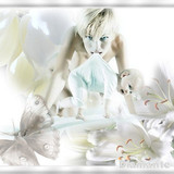 Blanc ... belle image 69
