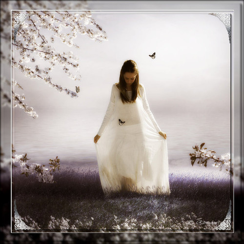 Blanc ... belle image 68.jpg