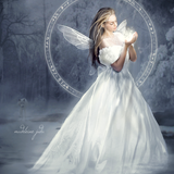 Blanc ... belle image 75