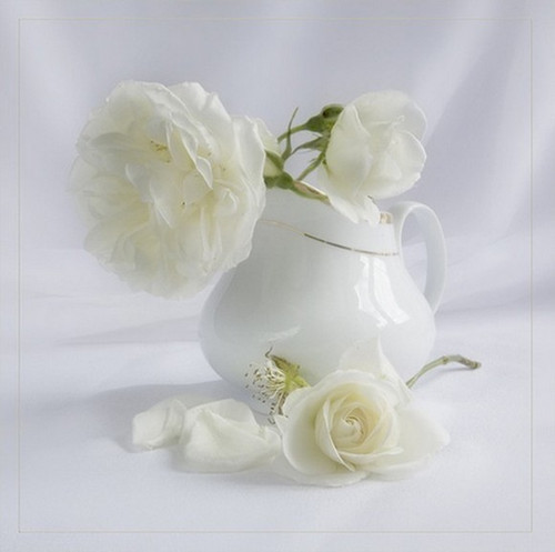 Blanc Belle image 14.jpg