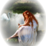 Blanc ... belle image 63