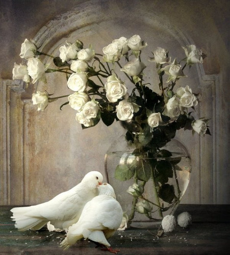 Blanc Belle image 18.jpg
