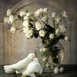 Blanc Belle image 18