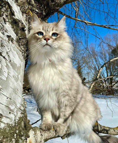 0f0b3c83 b743 4003 b82c 7cbd5e09da68.jpg