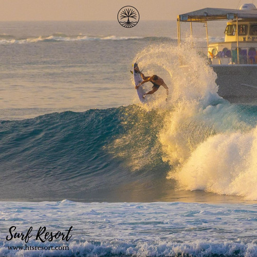 Surf Resort.jpg
