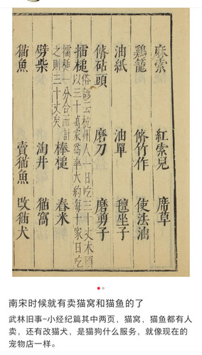 Screenshot 20240709 113745.jpg