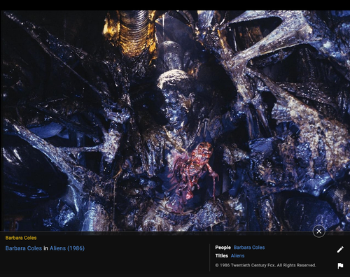 Screenshot 2024 07 08 at 07 15 59 Barbara Coles.png