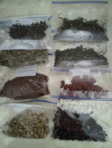 IMG 20240611 160644.jpg