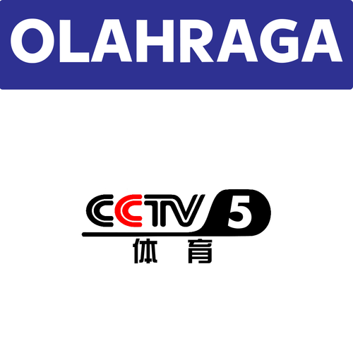 CCTV 5.png