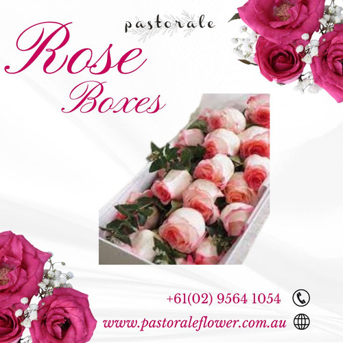 Luxury Rose Boxes for Every Occasion.jpg