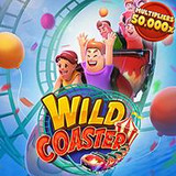 WILD COASTER.jpg