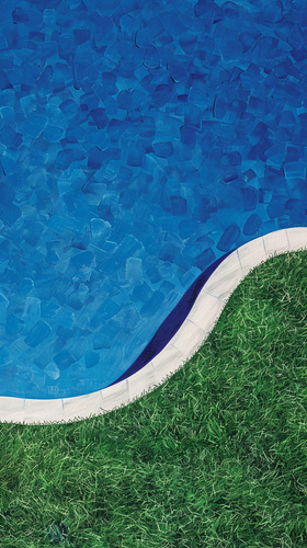 louispietsch 36677 backyard pool grass ar 916 8cd546bc 6217 4614 982d 56fb5c57646f 3.png