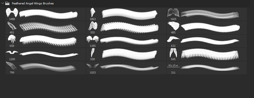 Feathered Angel Wings Photoshop Brushes.jpg