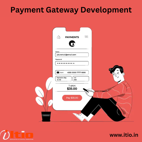 Payment Gateway Development.png