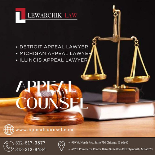 Illinois Appeal Lawyer | Appeal Counsel.jpg