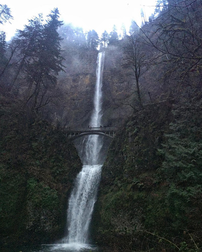 Multnomah Falls is one of the most iconic places to explore in USA. Terran Travels offers Tour guide Multnomah Falls who will assist you to explore this iconic place and your tour will remain as a memory for entire life. https://www.terrantravels.com/