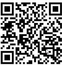 vi van thu 147258.jpg