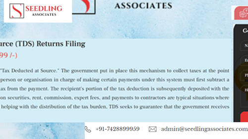 TDS RETURN FILING.png