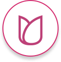 vector icon.png