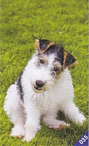 PENNY My máme rádi Česko 035.jpg