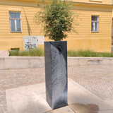 IMG 20240709 125711