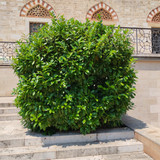 IMG 20240709 130131