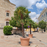 IMG 20240709 130051