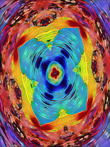 79DD9299 A4A5 443E 8CAA 58EC2474E1F7.jpg