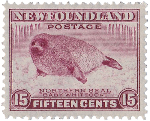 Tumblr l 77921355626262.png