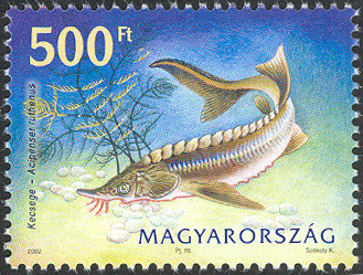 Tumblr l 77844566193740.jpg