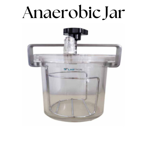 Anaerobic Jar.jpg