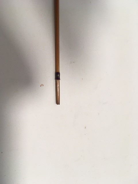 IMG 5276.jpg