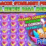 starlightprincess2