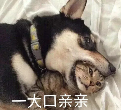 9c0047b9262ec9e801dbf74c9cf23149.webp.jpg