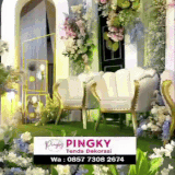 PINKY 39.gif
